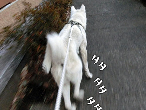 2013022004