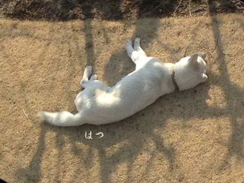 2015022104