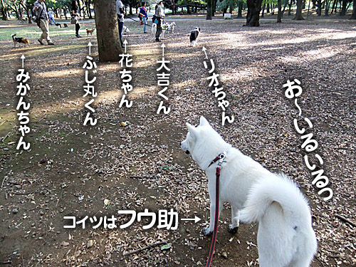 代々木公園でお散歩会 大宮の風 代々木公園でお散歩会 大宮の風