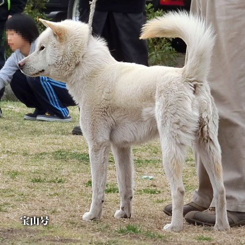 2015033103