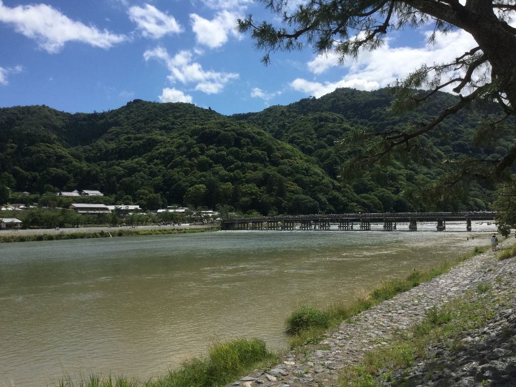 イメージ 4