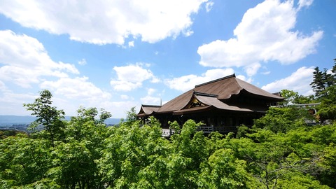 京都観光ツアーガイド（ Kyoto Tour Guide ）