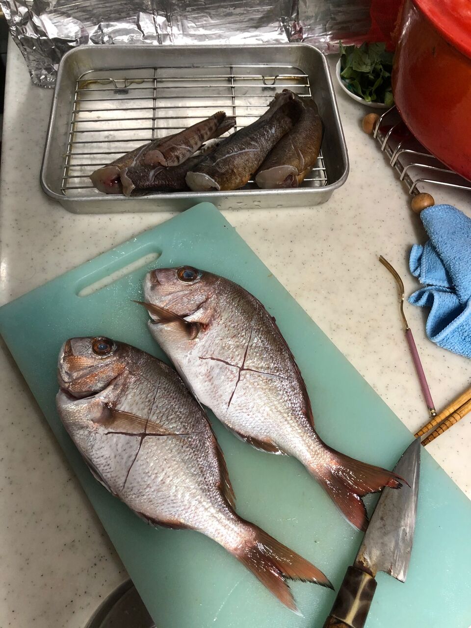 チャリコは塩焼きにクジメ トラは煮付けで Kisuberaのblog