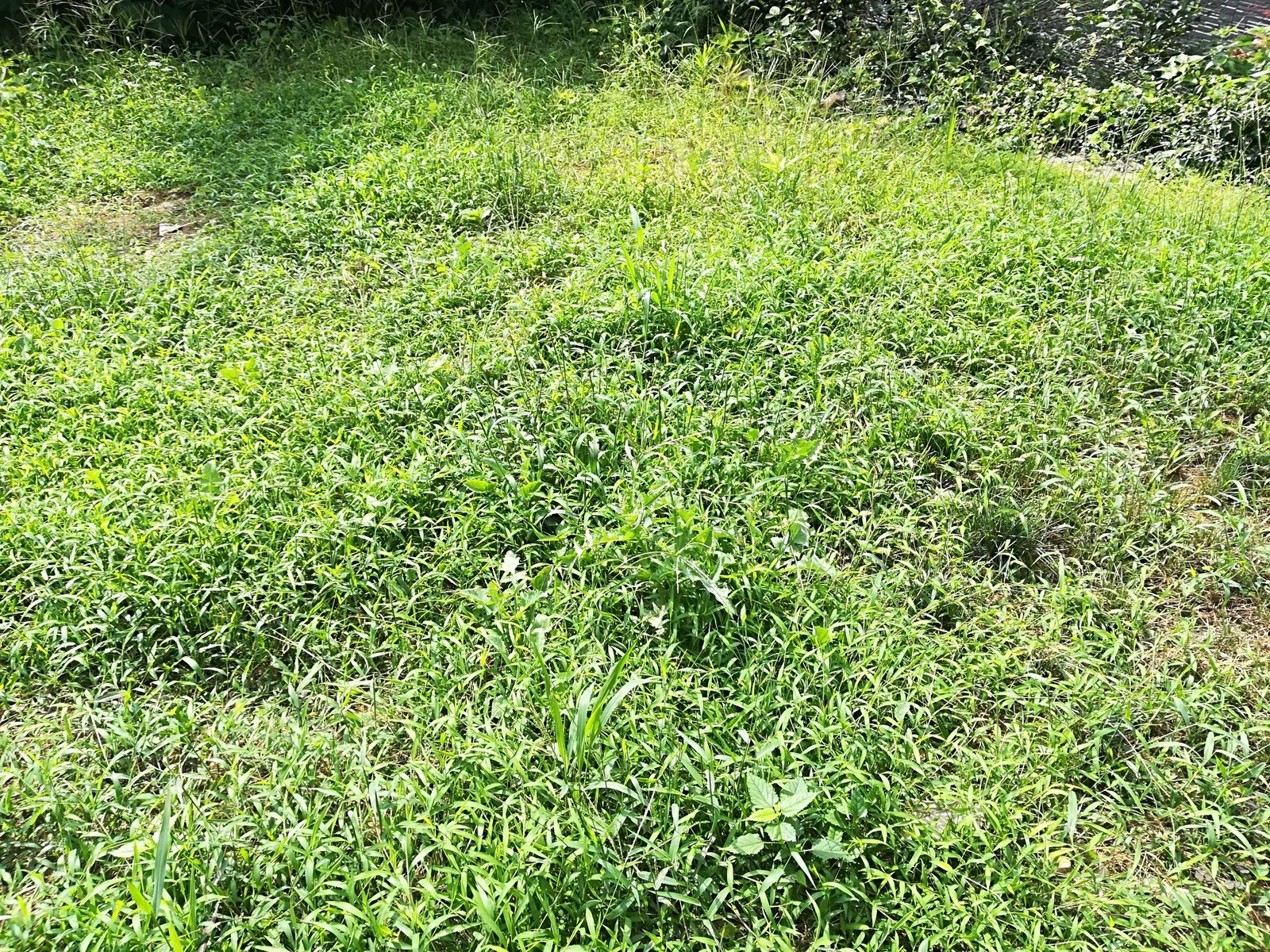 Kisuhunterのメモ書き 釣りなど 17年09月02日 Kisuhunterのメモ書き 釣りなど 17年09月02日