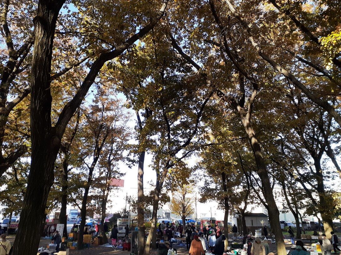 12 6 日 本年最後の伊佐沼フリマの様子 川越フリマ 汽車ポッポ 川越水上公園 伊佐沼公園 智光山 ちこうざん 公園 フリーマーケット 12 6 日 本年最後の伊佐沼フリマの様子 川越フリマ 汽車ポッポ 川越水上公園 伊佐沼公園 智光山 ちこうざん 公園 フリーマーケット