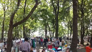 16 5 1伊佐沼公園フリマの模様 川越水上公園フリーマーケット 汽車ポッポ 川越水上公園 伊佐沼公園 智光山 ちこうざん 公園 フリマ 16 5 1伊佐沼公園フリマの模様 川越水上公園フリーマーケット 汽車ポッポ 川越水上公園 伊佐沼公園 智光山 ちこうざん 公園 フリマ