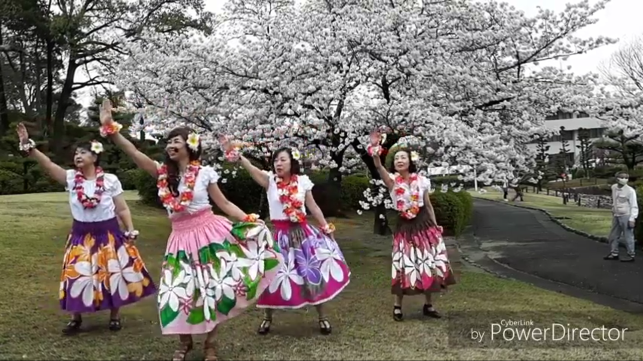 19年度 菜の花祭出演決定 フラダンス 糸 Hero モアナと伝説の海 動画アップ 屋敷山公園 奈良 天理 唐古鍵 でヨガ 奈良歪み矯正ヨガ教室 奈良 天理 葛城 唐古鍵でフラダンス 奈良のんびり初級フラダンス教室 kis Official Sait 19年度 菜の花祭出演決定 フラダンス 糸 Hero モアナと伝説の海 動画アップ 屋敷山公園 奈良 天理 唐古鍵 でヨガ 奈良歪み矯正ヨガ教室 奈良 天理 葛城 唐古鍵でフラダンス 奈良のんびり初級フラダンス教室 kis Official Sait