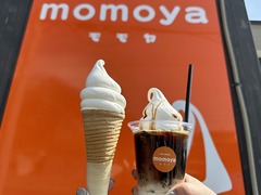 momoya_���եȥ��꡼��_202504