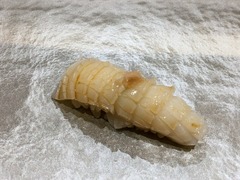 鮨大助_イカ_202210