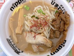 ��ƻ��_ǻ����̣���顼���ʶ��_202505