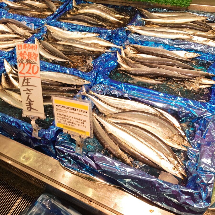 角 上 魚類 赤羽 店