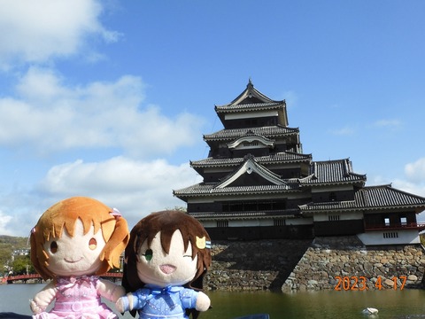 matsumotocastle (2)