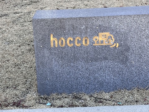 hocco (1)