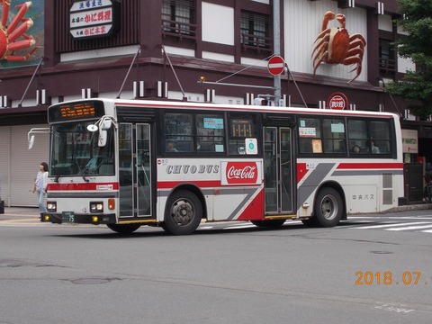 北海道中央バス 中央バス名物の9m車 ブルーリボンRU : 趣味の日誌