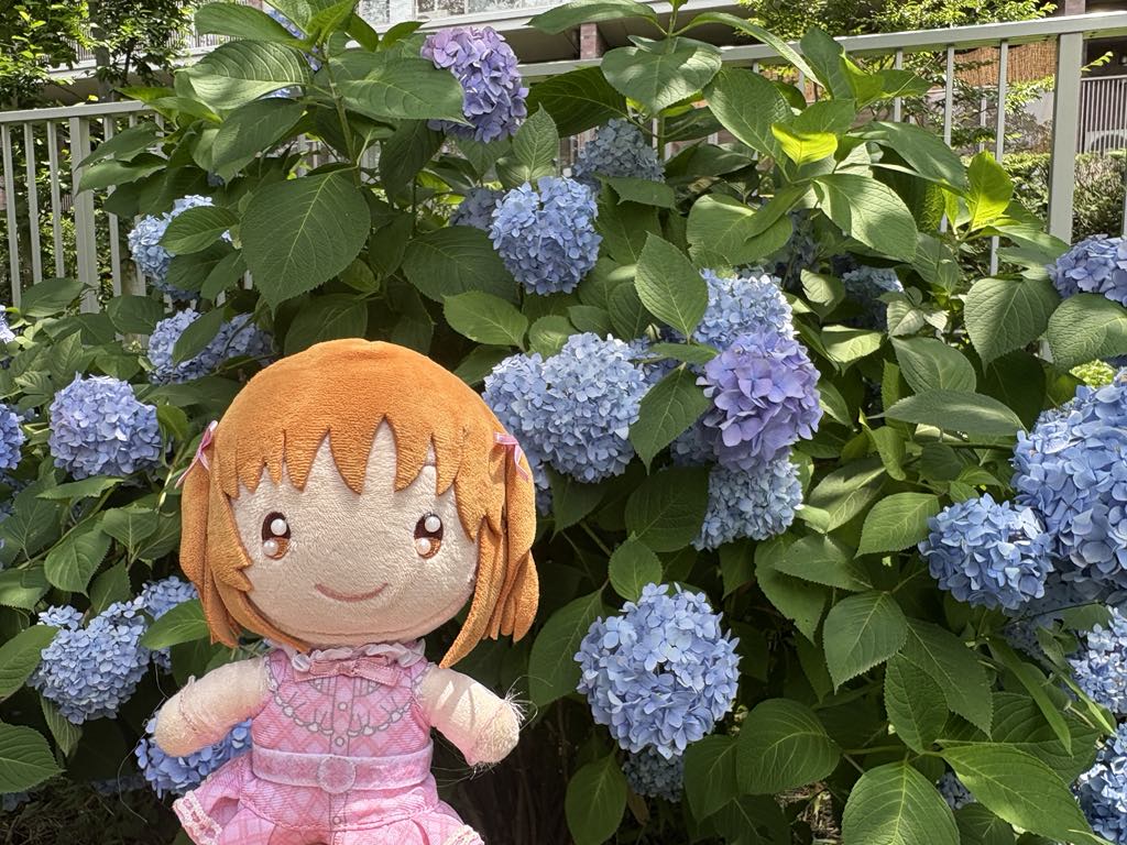 ちょこっと紫陽花と一緒に♪ : 趣味の日誌 オタクの時間