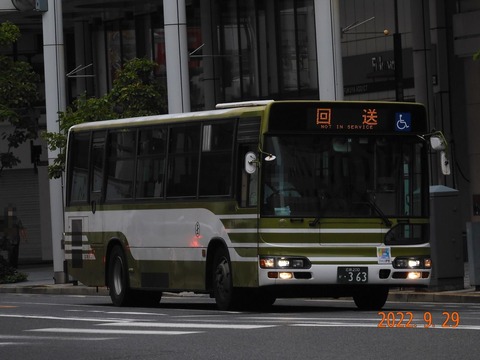 49726212-s.jpg