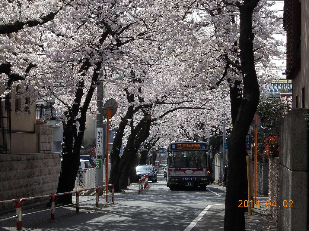 Sakura 14 東急ファンのブログ