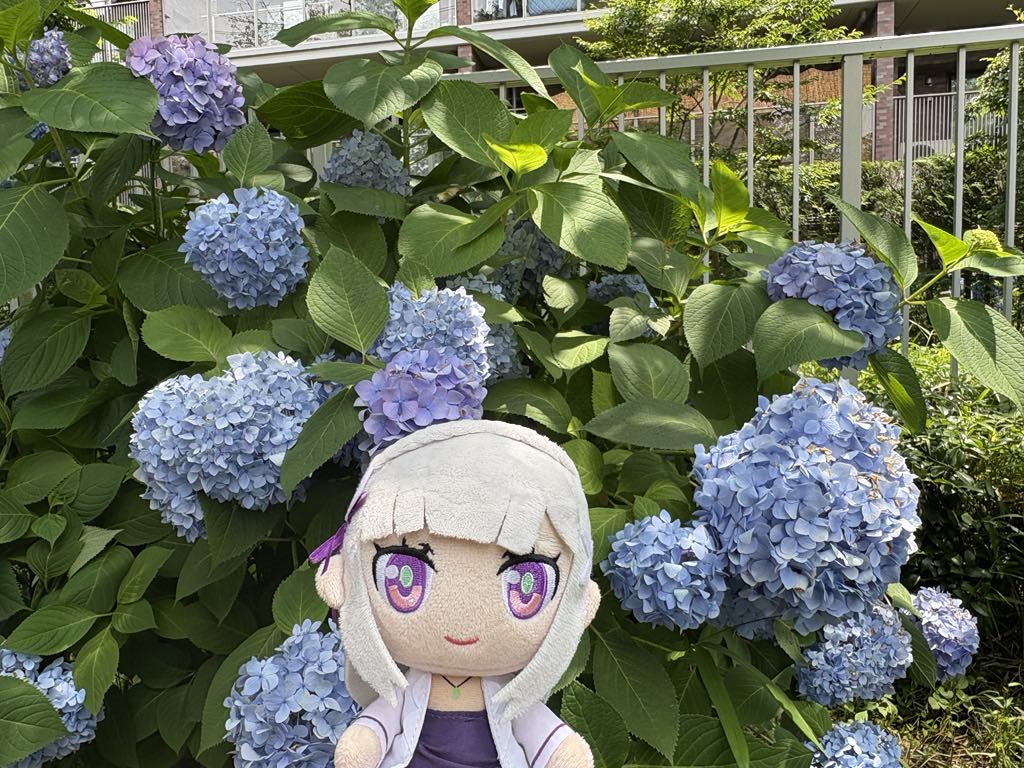 ちょこっと紫陽花と一緒に♪ : 趣味の日誌 オタクの時間