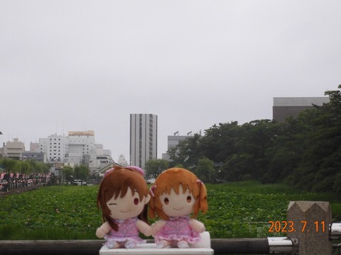 akari&totokin