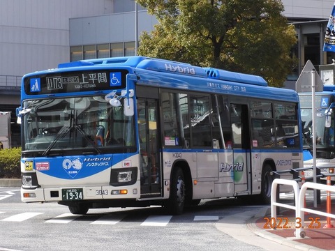 h-3043 (2)