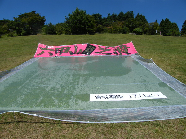 DSCF1214