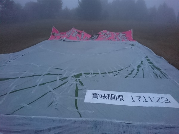 補修状況(下より撮影)