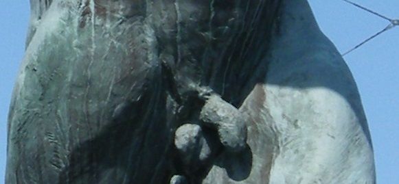 DSCF1499