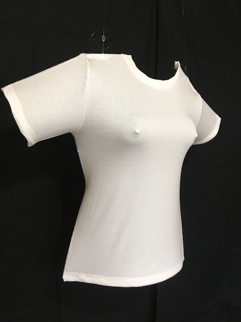 裸体像tシャツ計画 年の歩みとこれからのこと その１ 北川純ホームページ