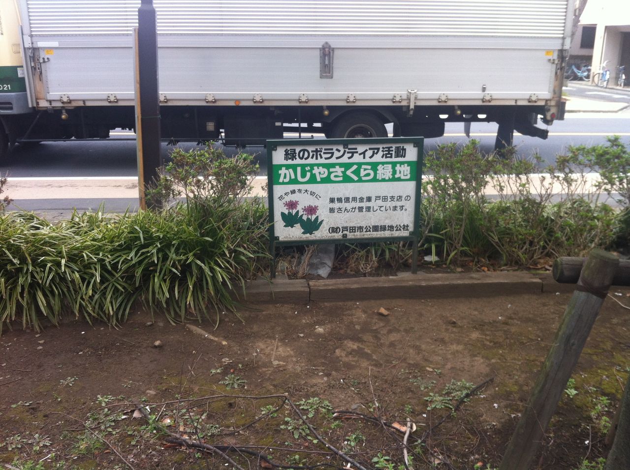 戸田市本町の多福院裏手の桜 かじやさくら緑地の桜トンネル 戸田市に住むと楽しいな 戸田市本町の多福院裏手の桜 かじやさくら緑地の桜トンネル 戸田市に住むと楽しいな