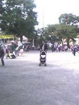 0a422d18.jpg