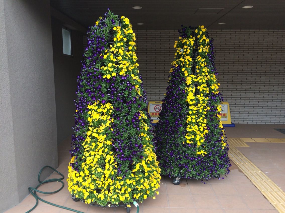 次の日曜日は 戸田植木市花フェスタ17 市役所1階入口に出番を待つフラワーツリーがあります 戸田市に住むと楽しいな 次の日曜日は 戸田植木市花フェスタ17 市役所1階入口に出番を待つフラワーツリーがあります 戸田市に住むと楽しいな