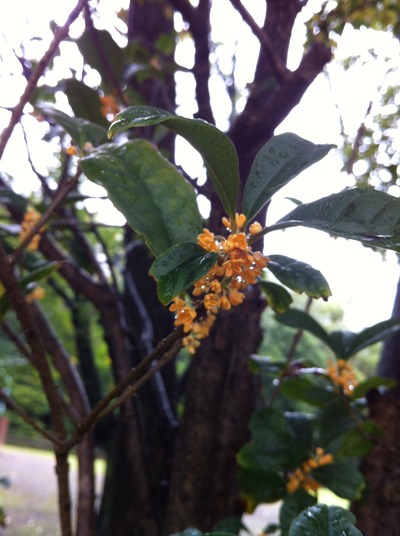 ̿ 2013-10-05 13 27 14