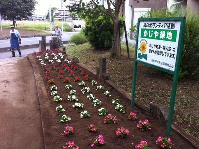 ̿ 2013-06-08 8 38 46