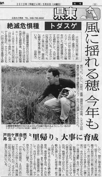 todasuge_saitama_20120508