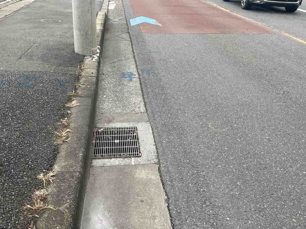 IMG_0374