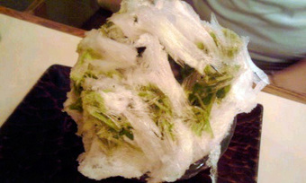 ŷ��ɹ�Τ���ɹ������ޤ��������̶载��Ź����