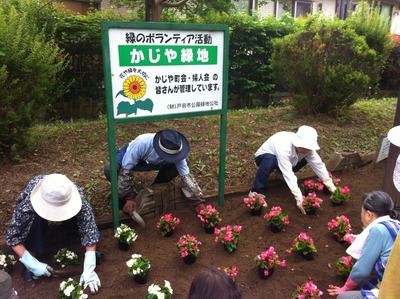 ̿ 2013-06-08 8 31 03