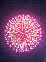 ���Ķ��ֲ����