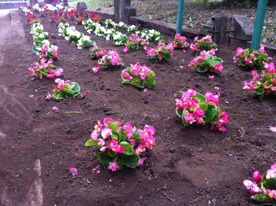 ̿ 2013-06-08 8 38 55