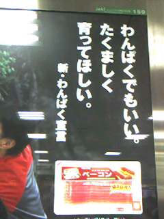 わんぱくでもいい 戸田市に住むと楽しいな