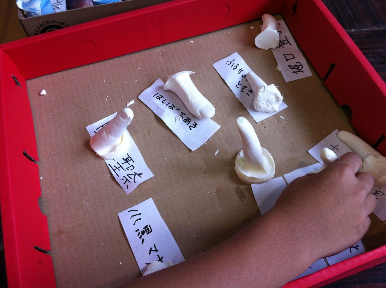 性器　石膏 戸田市立戸田第一小学校で開催された子ども会祭りに行ってきました : 戸田市に住むと楽しいな！