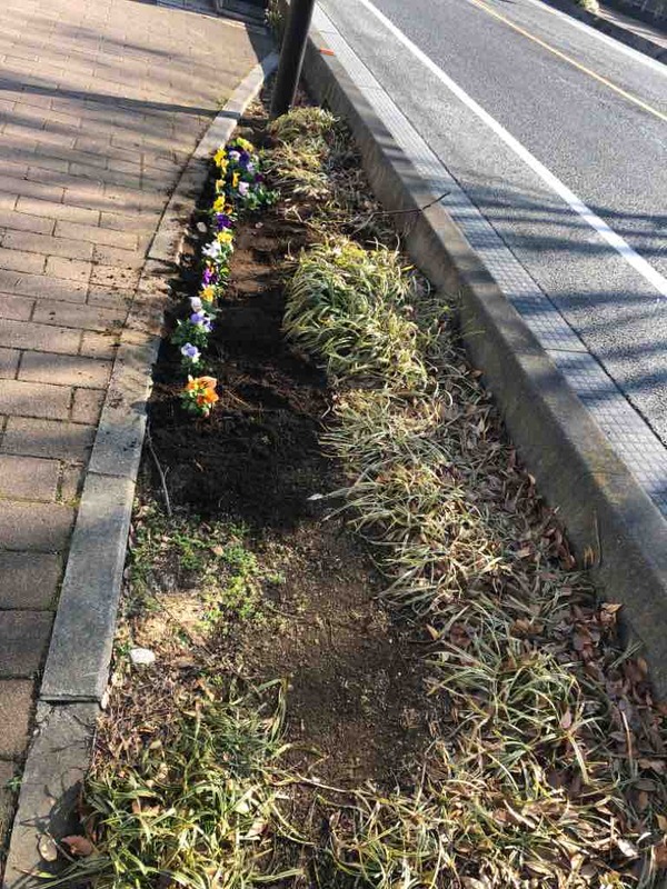 IMG_8209