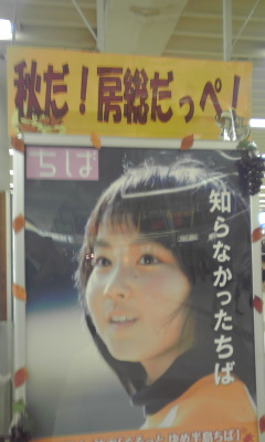 6f00b453.jpg