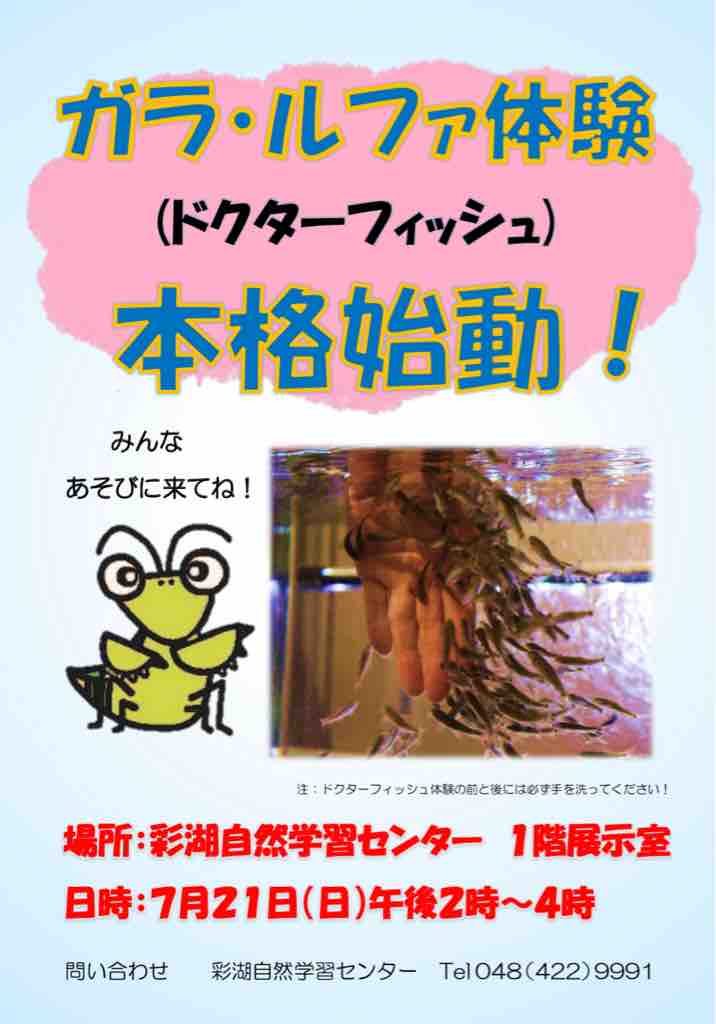 皮膚の角質を食べてくれるガラ ルファ ドクターフィッシュ 体験ができます 7月21日 日曜日 戸田市立彩湖自然学習センター1階展示室14時から16時まで 戸田市に住むと楽しいな 皮膚の角質を食べてくれるガラ ルファ ドクターフィッシュ 体験ができます 7月21日 日曜日 戸田市立彩湖自然学習センター1階展示室14時から16時まで 戸田市に住むと楽しいな