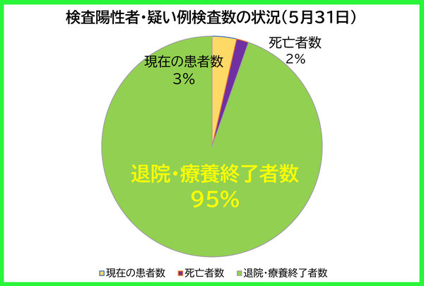 検査陽性者等の状況0531