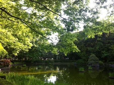 写真 2013-05-03 16 25 41