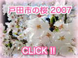 戸田市の桜2007