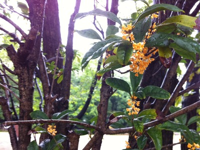 ̿ 2013-10-05 13 27 43