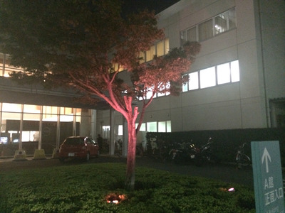 �̿� 2014-10-16 20 04 51