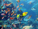 Ǯ�ӵ�